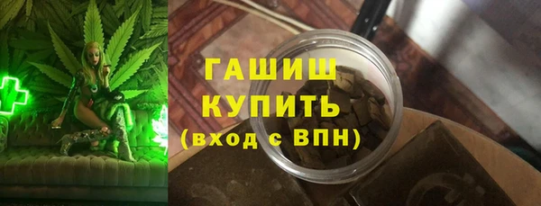 индика Медвежьегорск