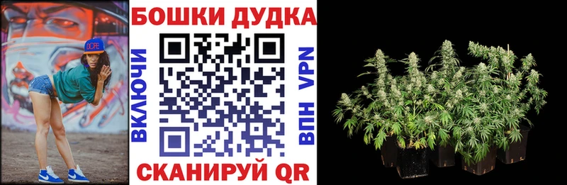 omg ССЫЛКА  Ачинск  Шишки марихуана Ganja  купить закладку 